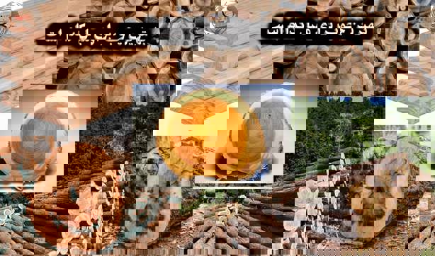 بهترین چوب برای مبل کدام است؟ معرفی انواع چوب مبل و ویژگیهای هرکدام}