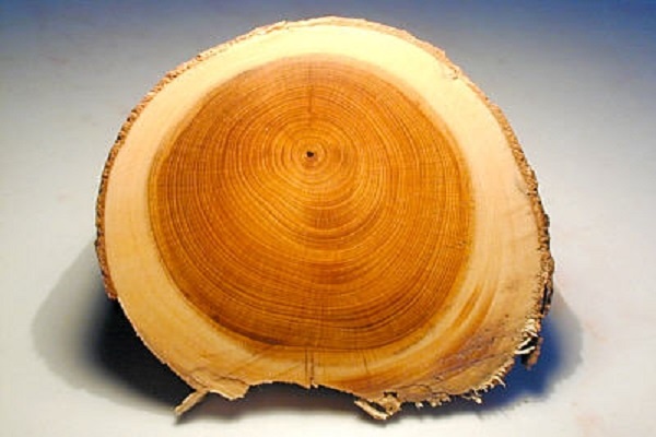 چوب چنار روشن برای مبل نیمه‌لوکس و اقتصادی